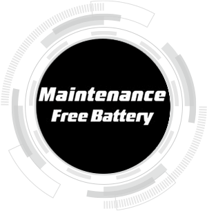 Maintenance Free Battery