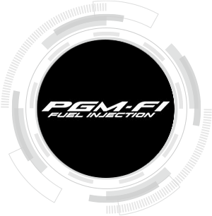 PGM-FI