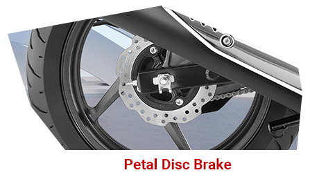 Petal Disc Break