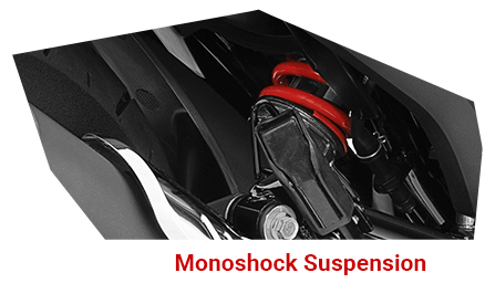 Monoshock Suspension